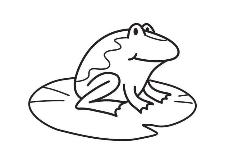 Kleurplaat kikker