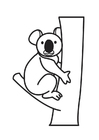kleurplaat koala