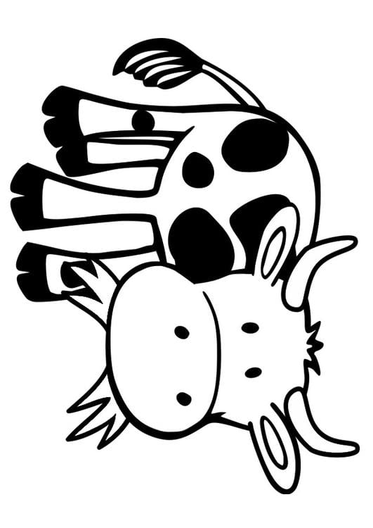 koe 