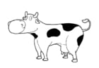 Kleurplaten koe