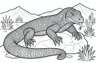 komodovaraan