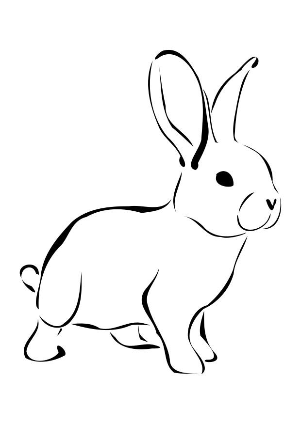 Kleurplaat konijn