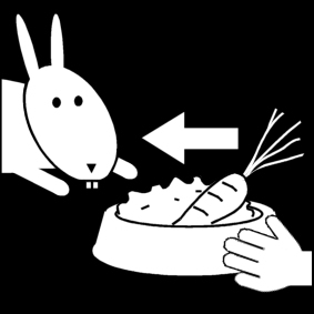 Kleurplaat konijn eten geven