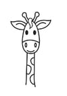 kop giraf