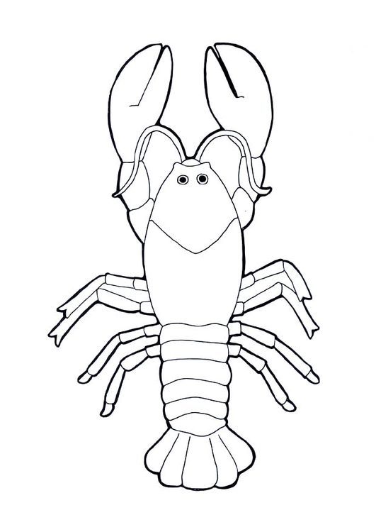 Kleurplaat kreeft