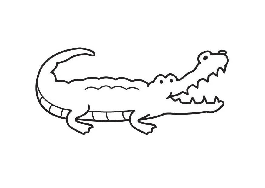 Kleurplaat krokodil