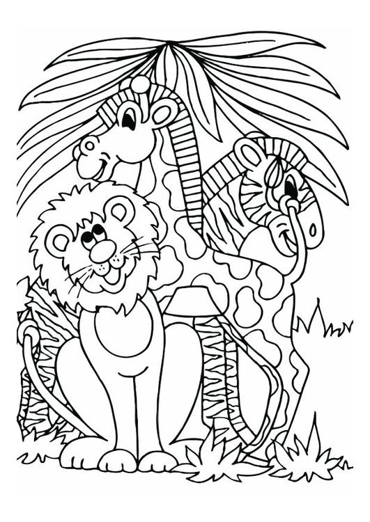 leeuw giraf en zebra