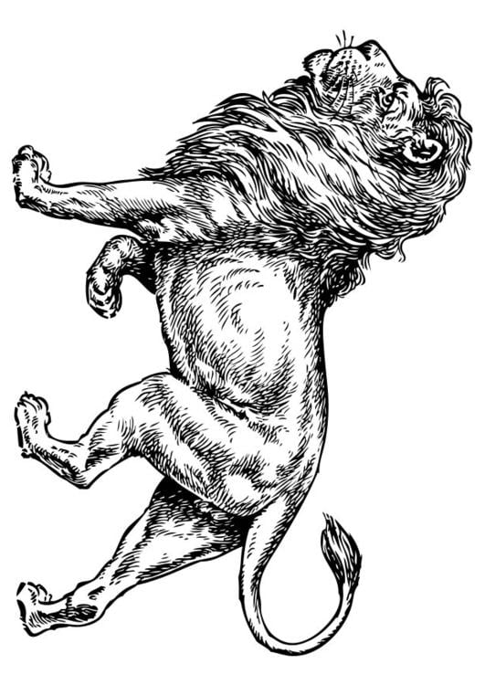 leeuw 