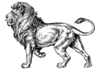 Kleurplaat leeuw 