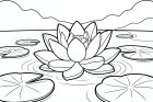 lotusbloem