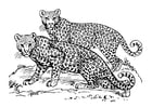 Kleurplaat luipaard