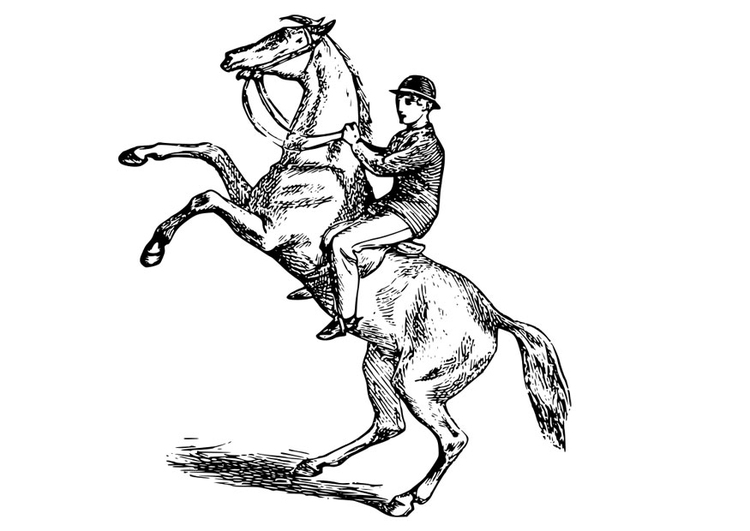 Kleurplaat man op paard