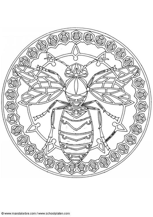 mandala-1802f