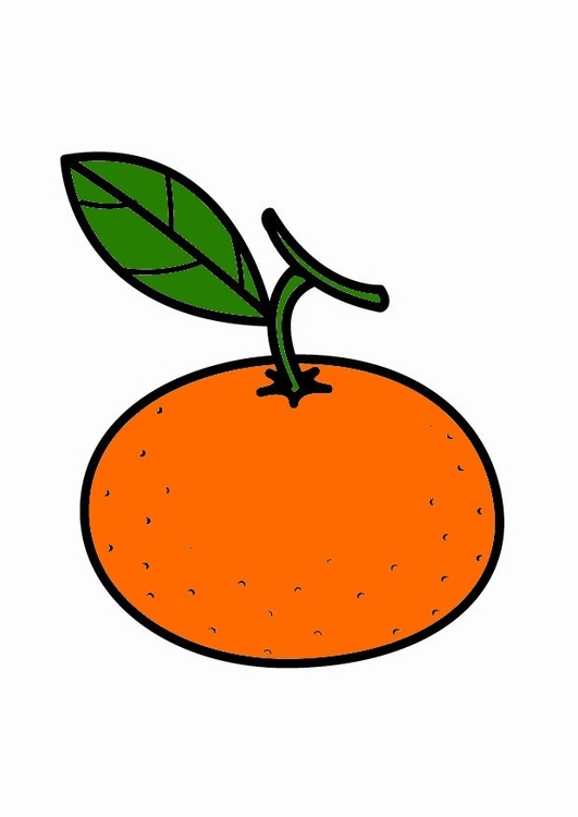 Kleurplaat mandarijn 