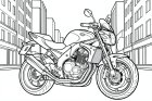 moto