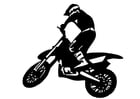 motorcross