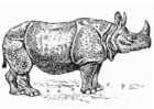 Kleurplaten neushoorn