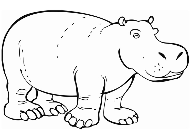 Kleurplaat nijlpaard