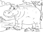 Kleurplaten nijlpaard