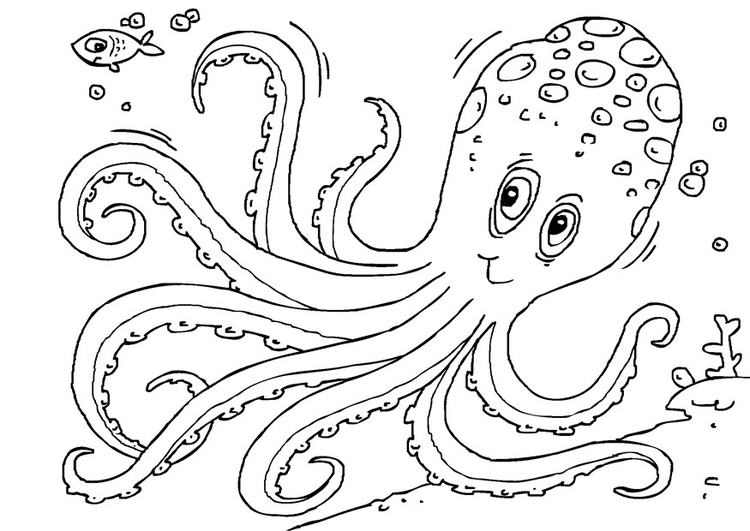 Kleurplaat octopus