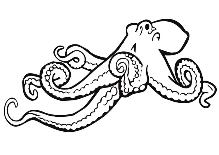 Kleurplaat octopus