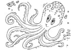Kleurplaat octopus