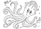 Kleurplaat octopus