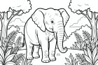 olifant in het bos