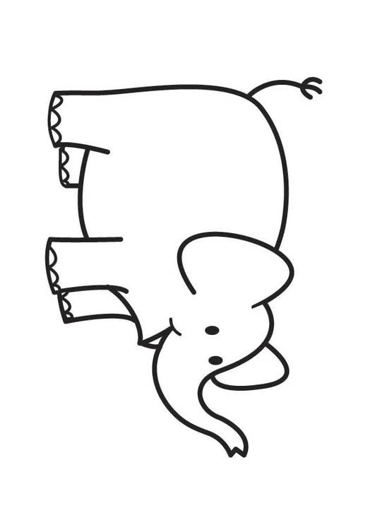 olifant 