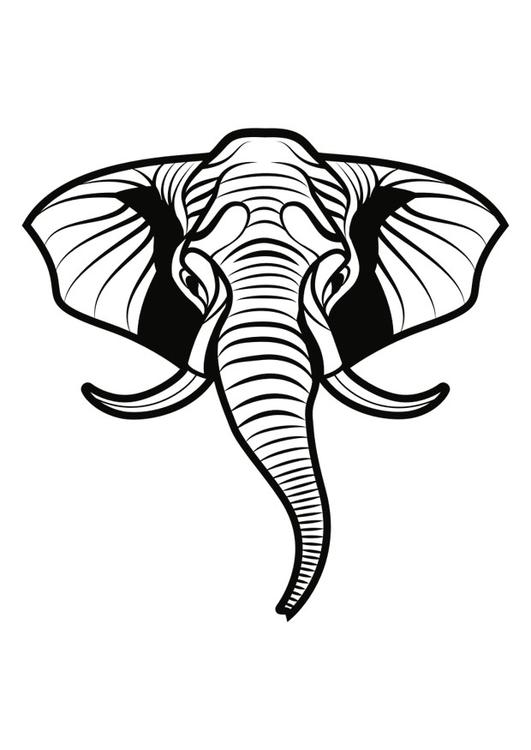 olifant