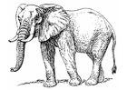 Kleurplaat olifant