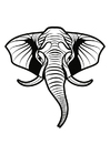 Kleurplaten olifant