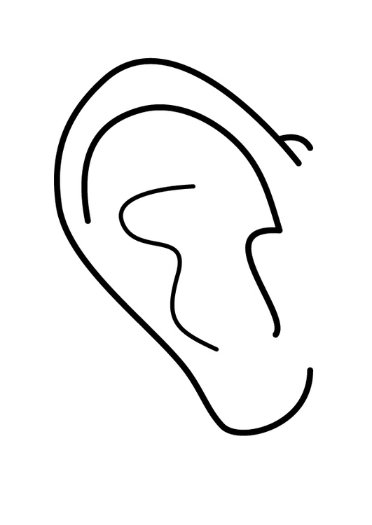 Kleurplaat oor