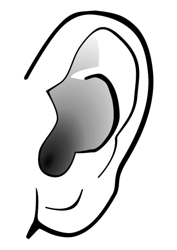 Kleurplaat oor - stilte