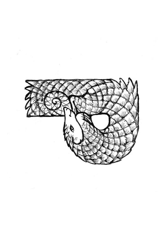 p-pangolin