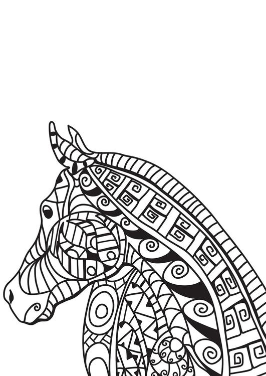 paard kop