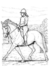 paard rijden