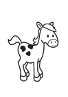 paard