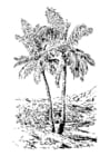 Kleurplaat Palmboom