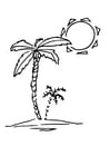 Kleurplaten palmboom