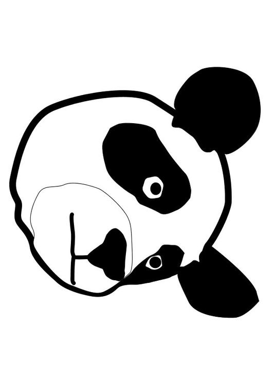 panda