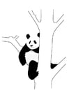 Kleurplaat pandabeer in boom