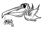 Kleurplaat pelikaan met vis