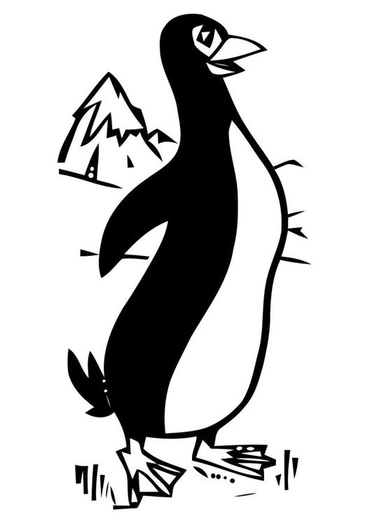 pinguin 