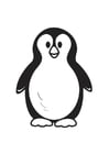 pinguin