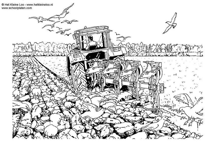 Kleurplaat Landbouw Landbouwmachines Boek Verzameling ...