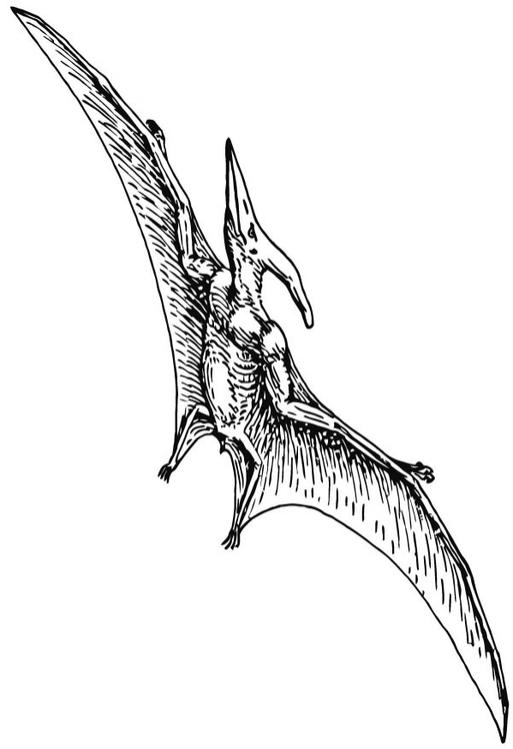 Pterodactyl