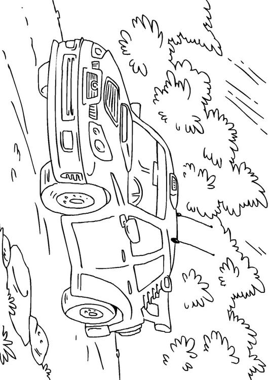 rally auto