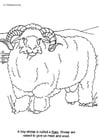 Kleurplaat ram