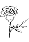 Kleurplaat roos